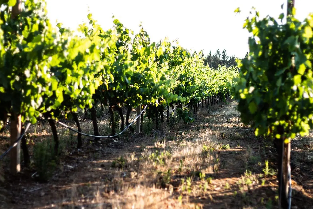 Bed and Breakfast The Vineyards à Alghero 2*,  Italie