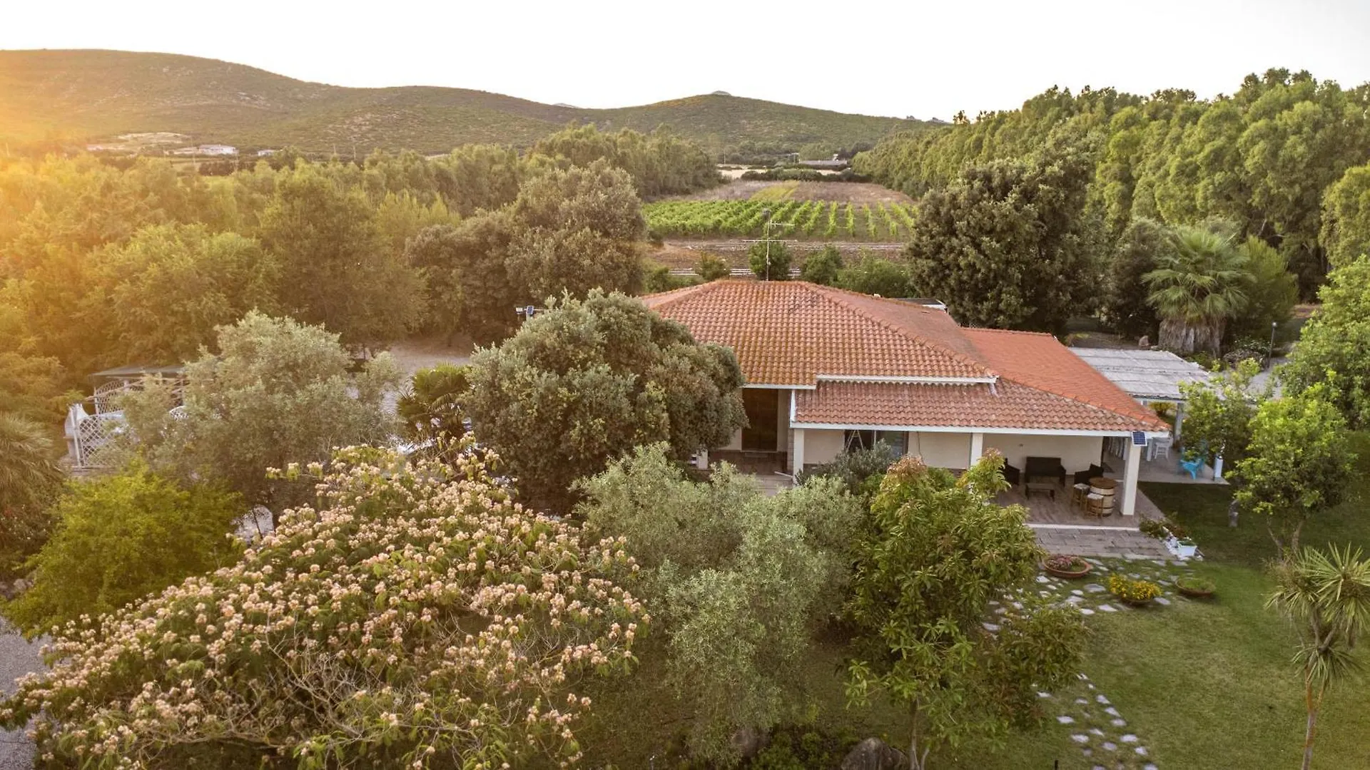 Bed and Breakfast The Vineyards à Alghero 2*,